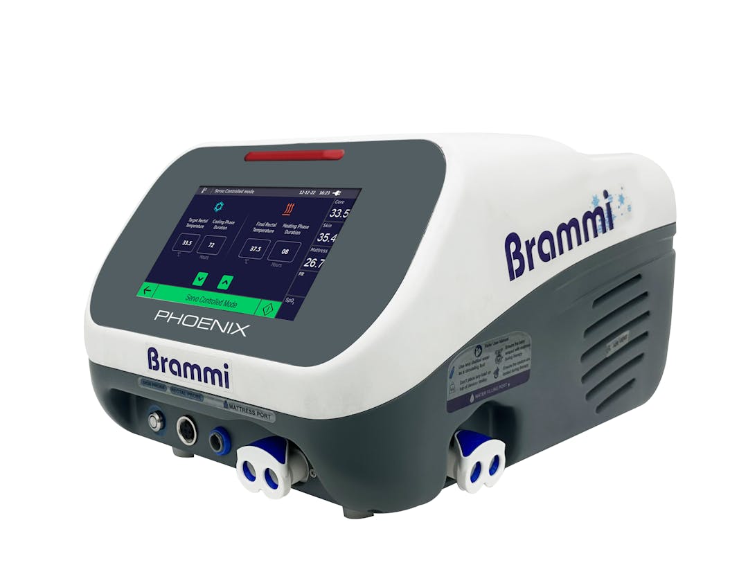 Visual example of the Brammi product