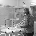 A doctor is overseeing a neonate undergoing phototherapy while in the Phoenix Bassinet.
